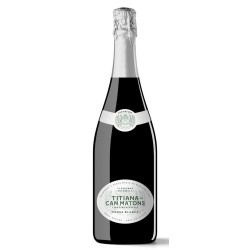 Titiana de Can Matons Pansa Blanca