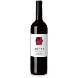 Enate Merlot-Merlot