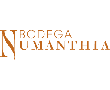 Bodega Numanthia