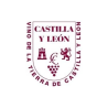 VT Castilla y León