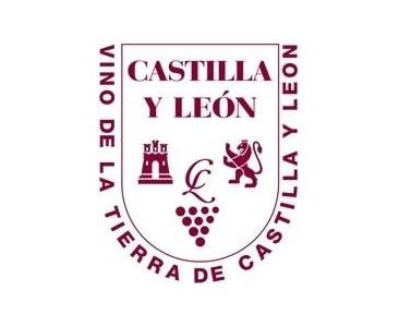 VT Castilla y León