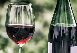 Tipos de Vino Tinto: Una Guía Completa