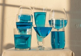 El color del vino: Guía completa