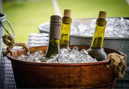 Guía de temperatura del vino: Consejos para disfrutar al máximo de cada copa