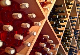 ¿Qué tipos de vino existen? Descubre todas sus variedades